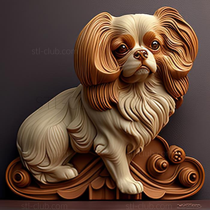 3D model st Continental Toy Spaniel dog (STL)